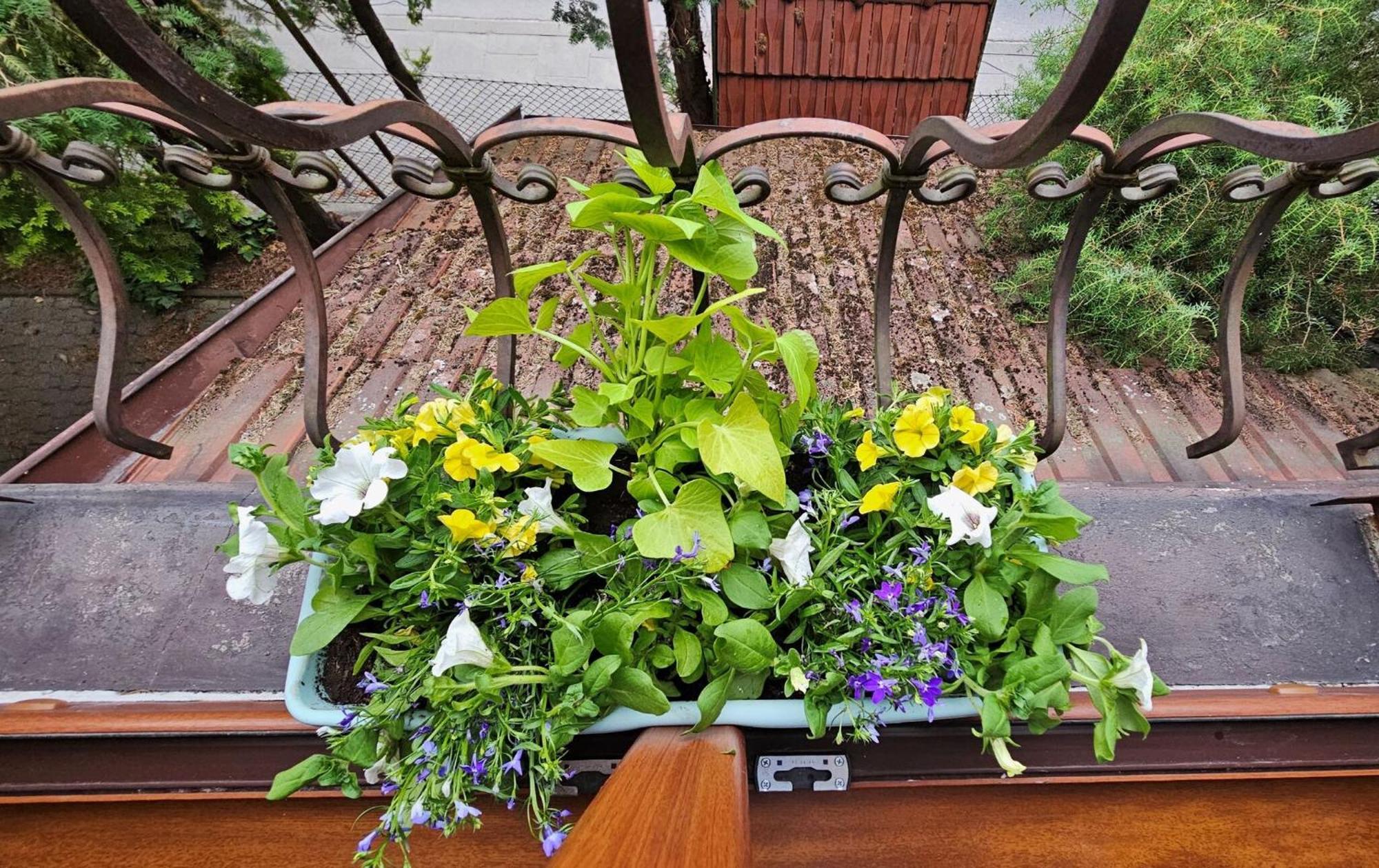 Park Apartment คราคูฟ ภายนอก รูปภาพ